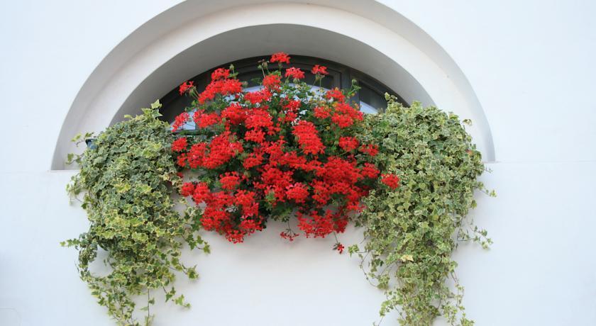 Bed and Breakfast Al Bagolaro Crocetta del Montello Esterno foto