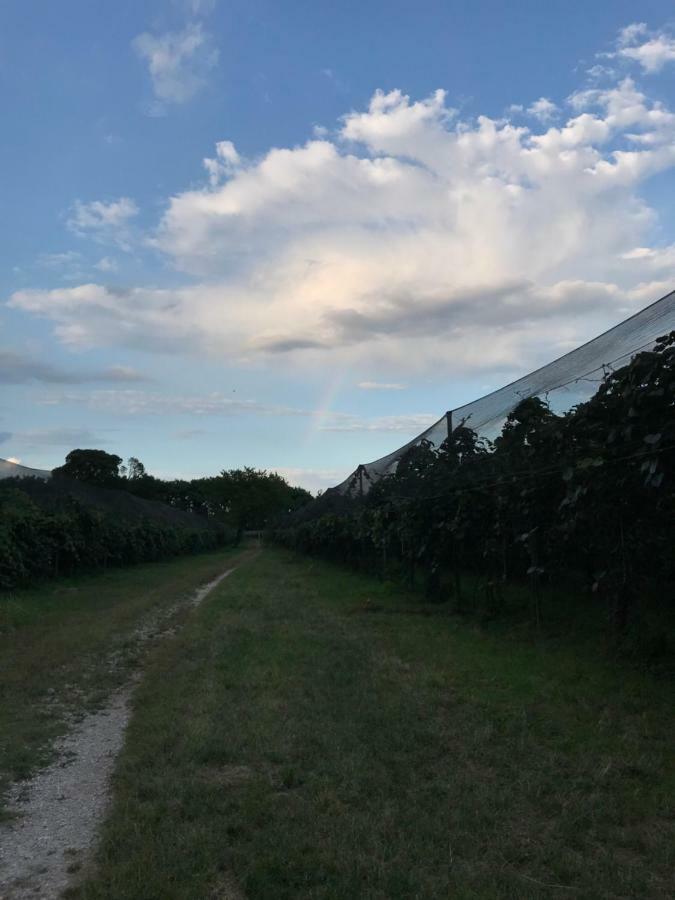 Bed and Breakfast Al Bagolaro Crocetta del Montello Esterno foto